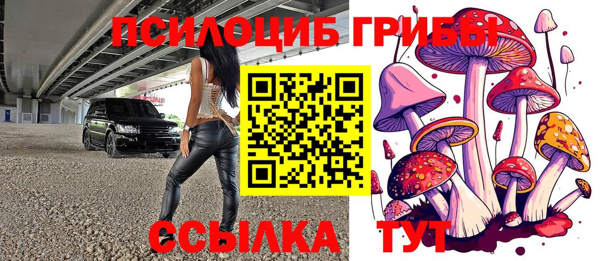 Благодарный  Галлюциногенные грибы Psilocybe  где купить   Вход с VPN 