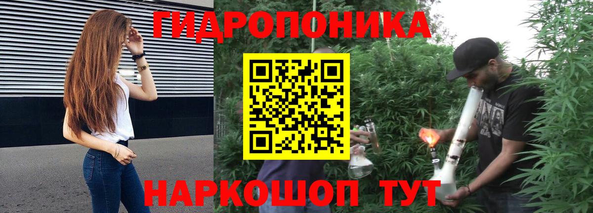 Конопля SATIVA & INDICA Благодарный